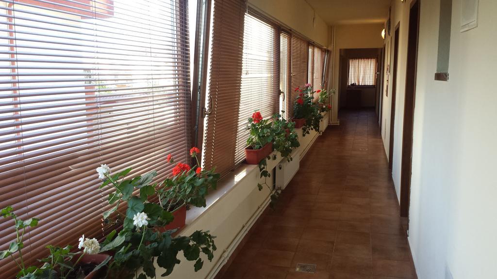 Hostel Nova Route Năvodari المظهر الخارجي الصورة
